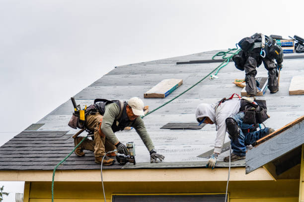 Professional Gutter Installation technician working in Linden, AL